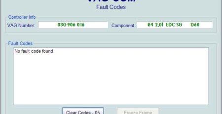 vag-com_dtcscreencleared