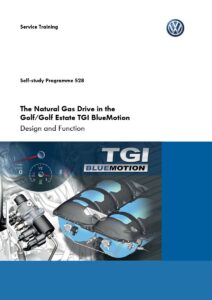 SSP 528 The Natural Gas Drive in the Golf - PDF cover