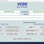 Haldex Module Gen1 Checkup